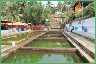 Vasche del Tempio di Shri Manjunatha a Kadri
